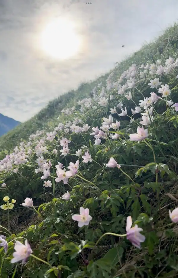 Frühlingauszeit im Mai